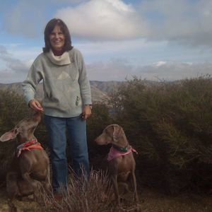 Meet your Posher, Heidi